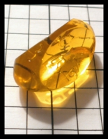 Dice : Dice - 3D - Gamescience Yellow Transparent Rock Paper Sciccors - FA collection buy Dec2010